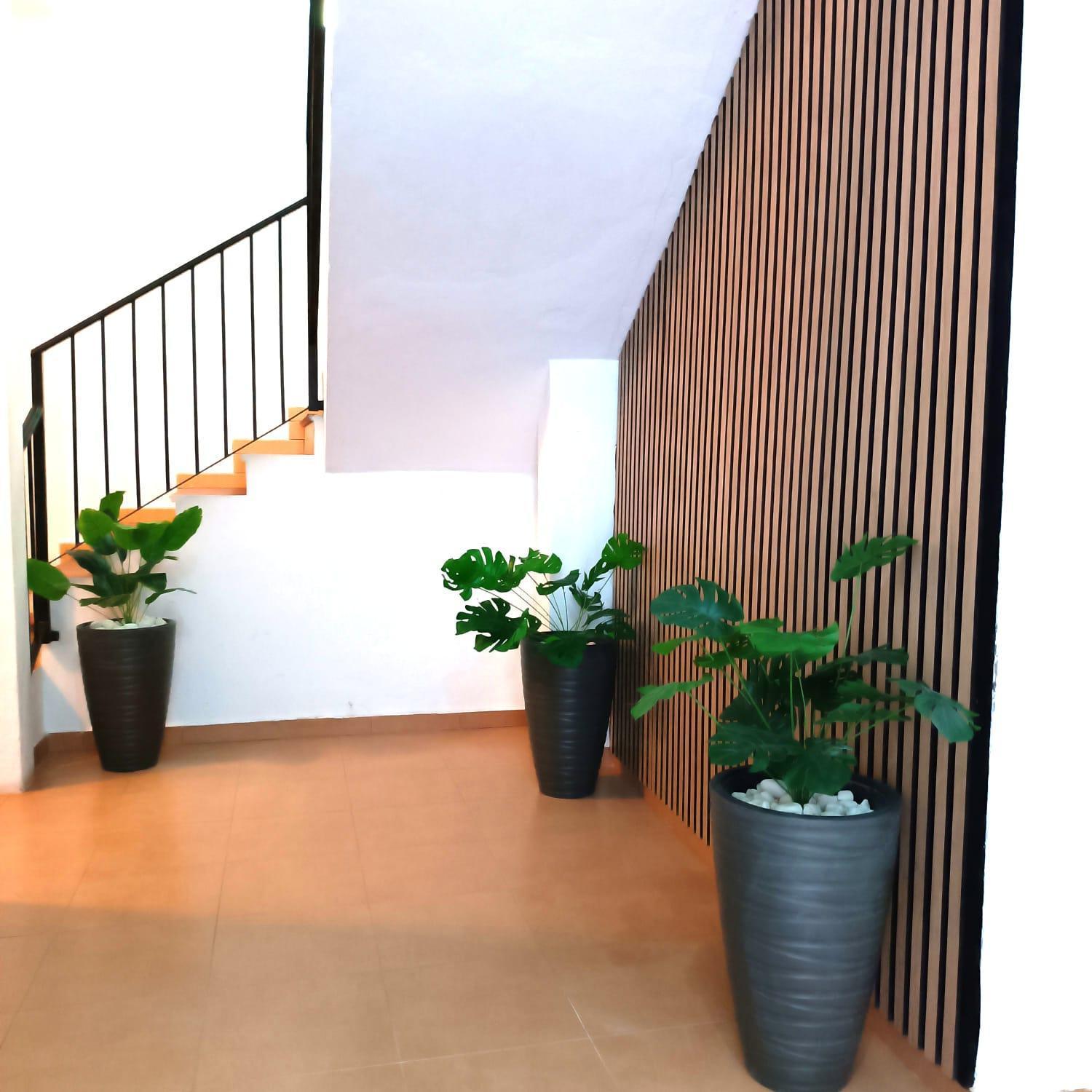 Apartamentos Duende マラガ エクステリア 写真